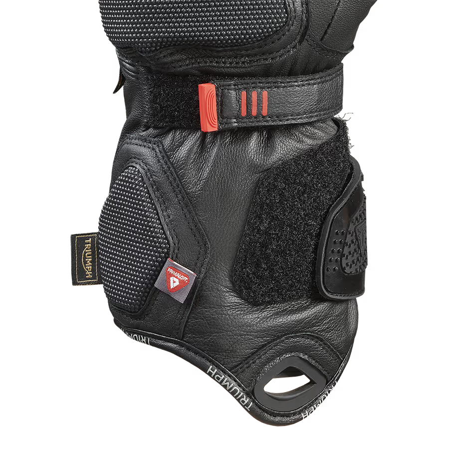 TRIUMPH ALDER 2 GORE-TEX DUAL CHAMBER GLOVES